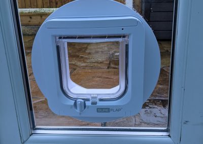 white catflap in glass window